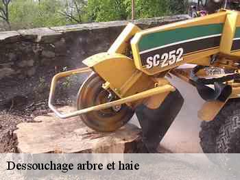 Dessouchage D Arbre Souche Et Haie L Ile Saint Denis T L