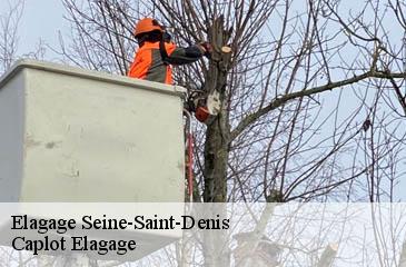 Elagage 93 Seine-Saint-Denis  Caplot Elagage
